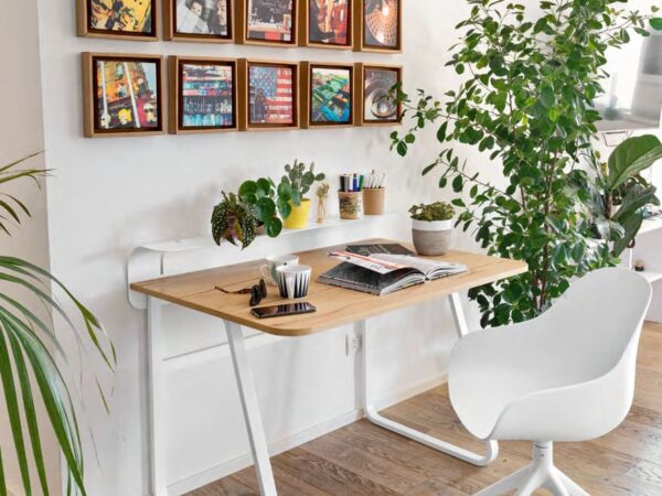 Bureau Foldy
