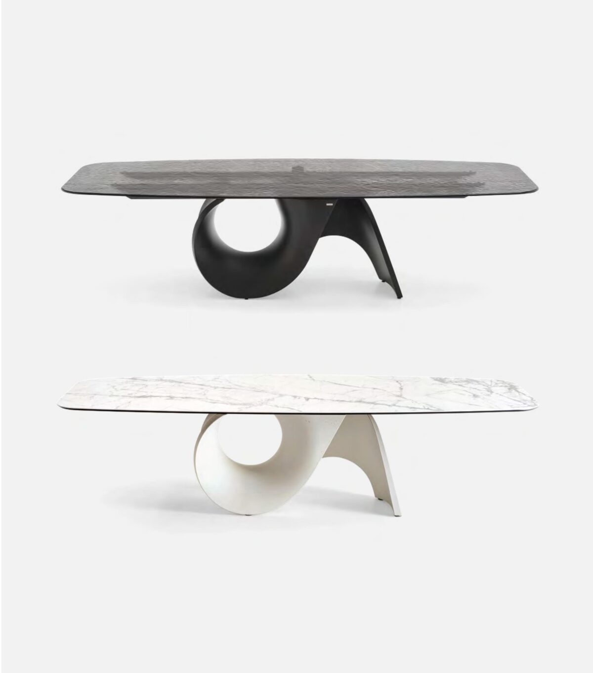 Seashell – Image 4